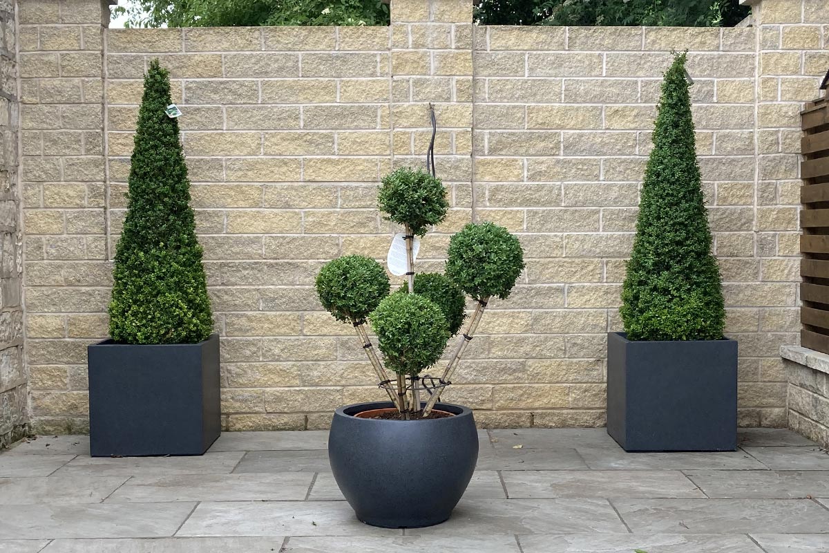 luxury pots and garden furniture cambridge